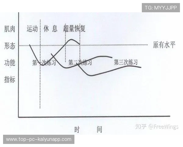 国际游泳教练在训练中采用生物力学评估与力量数据指导训练负荷