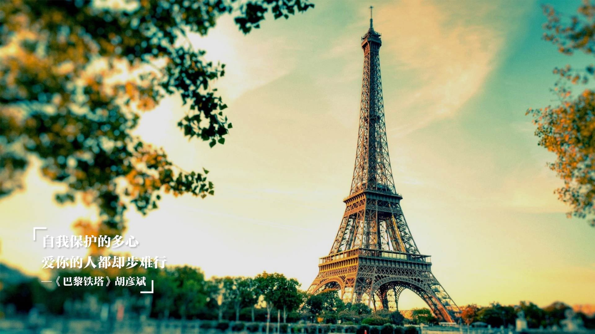 开云体育登录入口-2024年埃及队在世界杯赛场上的突破与创新，埃及世界杯预选赛