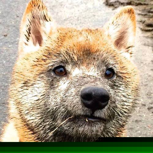 开云体育app入口-体育新闻中心推动基层体育数字化内容生态创新，体育数字化转型