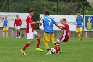 开云体育下载-国际乒联宣布新赛制，赛事更加精彩，国际乒联比赛2021