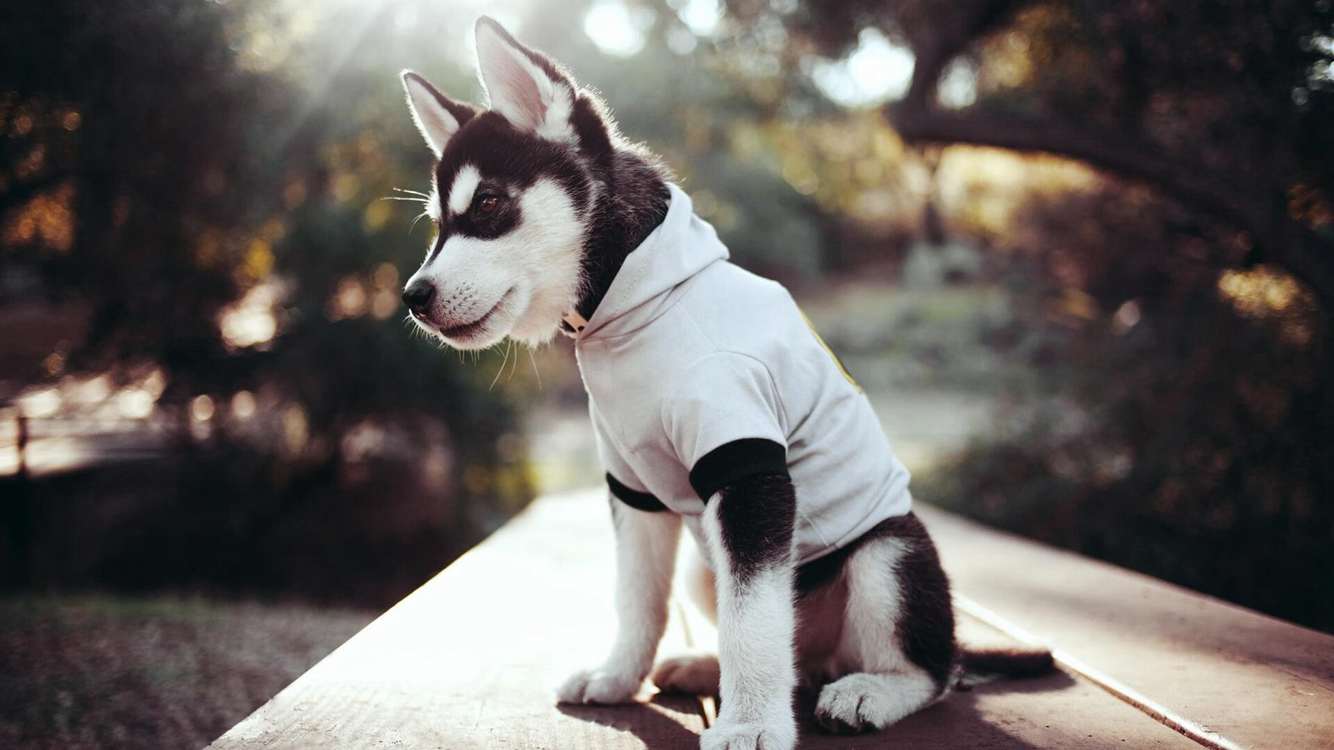 kaiyun网址-德国女子接力表现稳定不失水准，德国接力赛  第2张