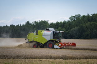 开云app-运动科技新设备投入训练中心，运动科技公司做什么产品